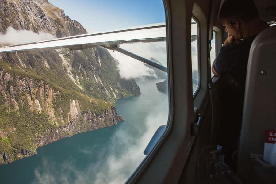 From Queenstown: Milford Sound Full-Day Trip by Plane & Boat - Wildlife Chances: Seals, Dolphins, and Seasonal Fiordland Crested Penguins