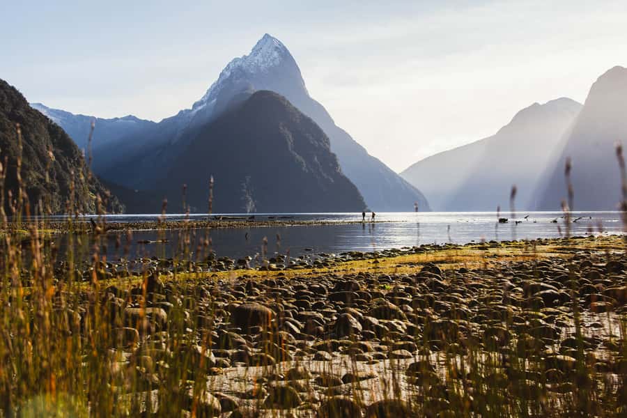From Queenstown: Milford Sound Scenic Flight & Nature Tour - Foreshore Loop Track and Mitre Peak: the walk that brings you close