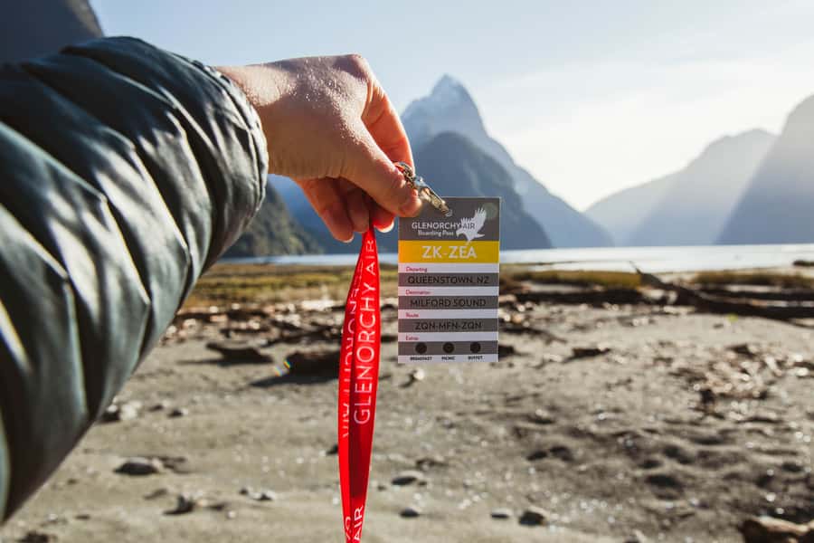 From Queenstown: Milford Sound Scenic Flight & Nature Tour - Safety, organization, and what to expect from the pilot