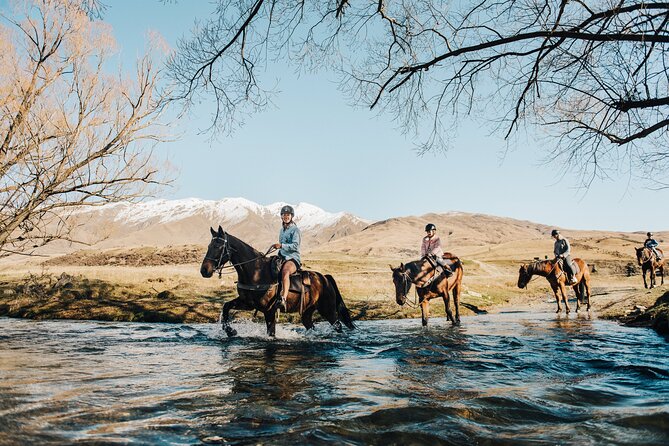 Gold Discovery Trail Horse Trek Cardrona - Most popular! - Horse Matching and Safety Basics: The Part That Makes or Breaks It