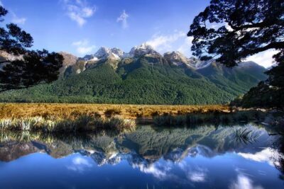 Luxury Milford Sound Coach and Scenic Cruise - Morning timing: Lake Wakatipu and Lake Te Anau stops