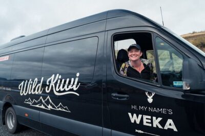 Milford Sound Small Group Tour, Cruise & Picnic Lunch - Lake Wakatipu and Southland: why the drive is part of the experience