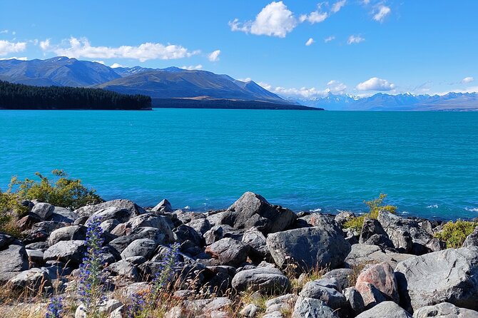 Mount Cook Tour: Finish at Queenstown, Christchurch or Dunedin - Lake Tekapo Stop: Quick, Pretty, and Worth the Stretch (Christchurch Pickup)