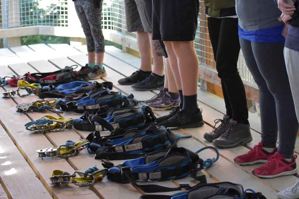 Queenstown: 1-Hour Zipline Tour with 2-Lines & 21-Meter Drop - After you fly: the 10-minute uphill Tiki Trail walk back