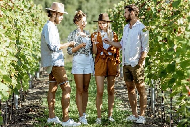 Queenstown Afternoon Wine Tour - Peregrine | Kinross | Amisfield - Price and value: what $166.93 buys you here