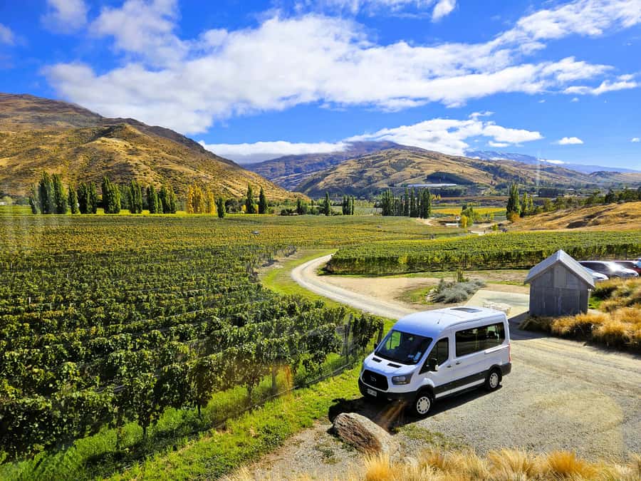 Queenstown: Premium Full-Day Central Otago Wine Tasting Tour - Key Highlights at a Glance
