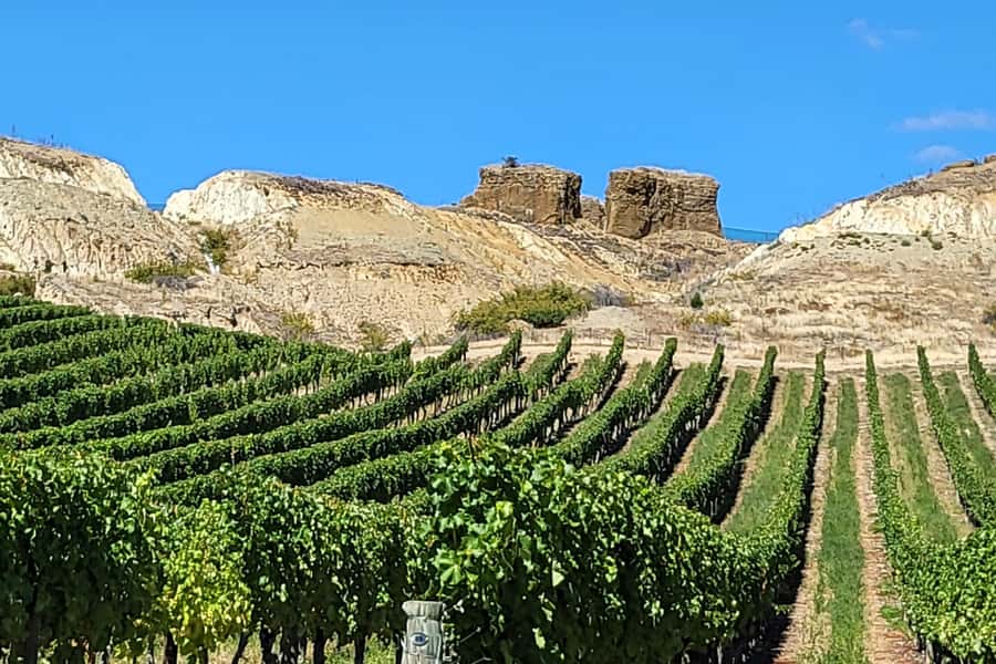 Queenstown: Premium Full-Day Central Otago Wine Tasting Tour - Price and Value: When $118 Makes Sense (and When It Doesn’t)