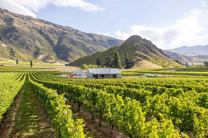 Queenstown Wine & Food Tour: Scenery, Tastings & Delicious Lunch! - The drive through Kawarau Gorge plus small-group conversation