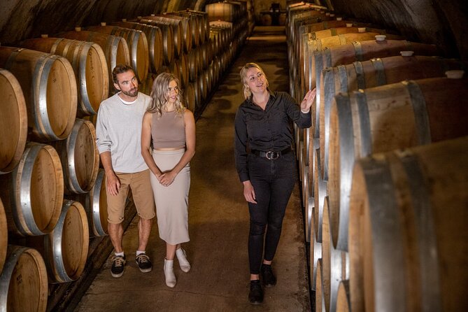 Queenstown Wine & Food Tour: Scenery, Tastings & Delicious Lunch! - Wine tasting quantity, what you’ll actually take in