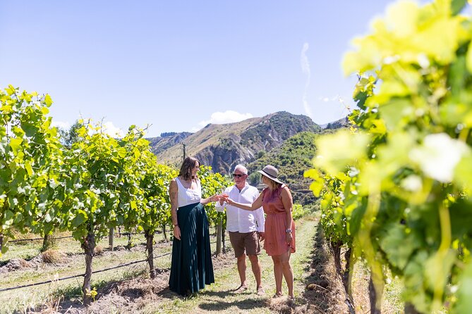 Queenstown Wine Tour - Who should book this Queenstown Wine Hopper