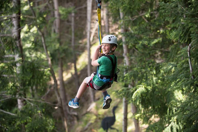 Small-Group Zipline Adventure in Queenstown - Choosing your course: Kereru’s 68-foot drop vs beginner-friendly lines